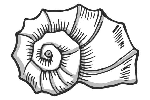 Elevate Your Designs with a Snail Shell Hand Drawn Icon: A Decorative Solution for Modern Creatives