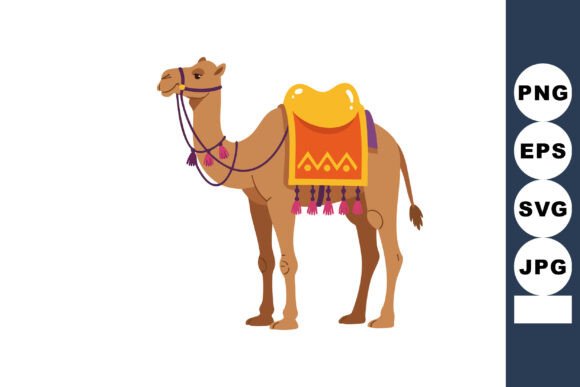 Evaluating the Camel with Decorative Saddle and Harness Illustration for Design Projects