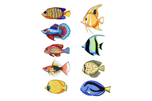 Vibrant Decorative Fish Set Cartoon for Every Project